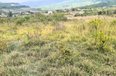 Tirane For Sale Land  Near Equos Resort, Mullet, Tirane Building Plot toke per agroturizem investim